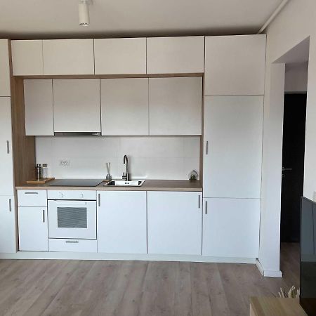 Platinum Luxury Apartment Near Presidential Palace Bükreş Dış mekan fotoğraf