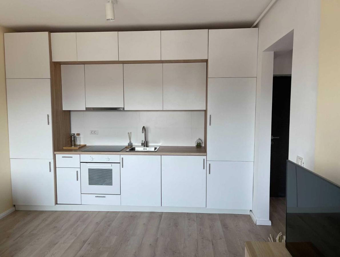 Platinum Luxury Apartment Near Presidential Palace Bükreş Dış mekan fotoğraf