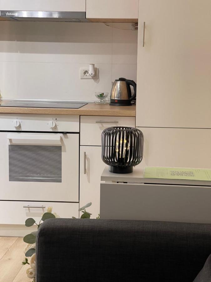 Platinum Luxury Apartment Near Presidential Palace Bükreş Dış mekan fotoğraf